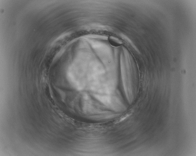 X0000083041063200702231924