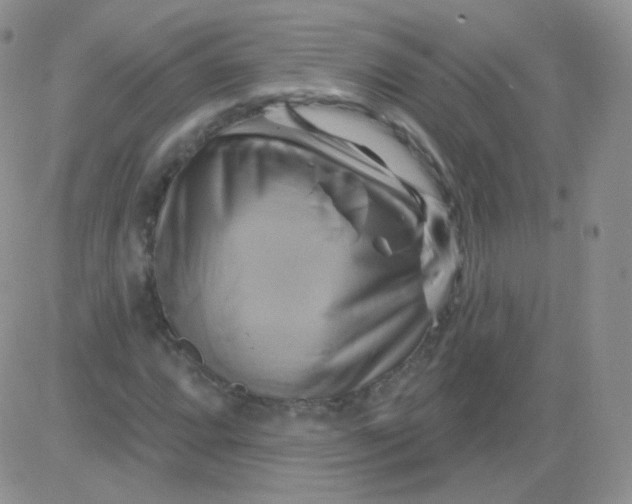 X0000083041064200702231924