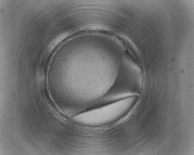 X0000083041065200702231924