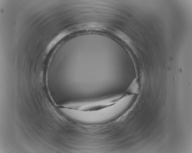 X0000083041066200702231924