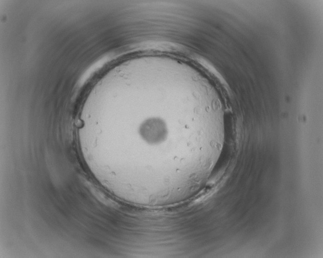 X0000083041067200702231924