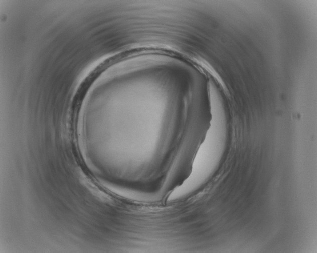 X0000083041068200702231924