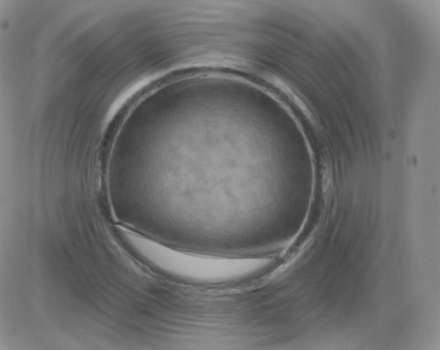 X0000083041069200702231924