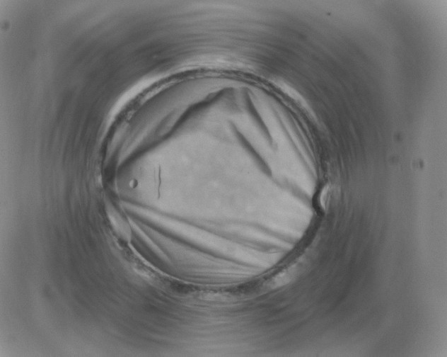 X0000083041070200702231924