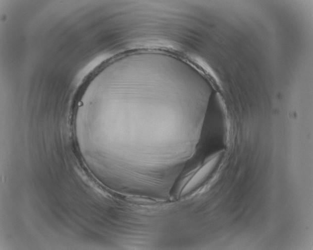 X0000083041071200702231924