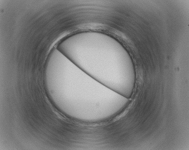 X0000083041073200702231924