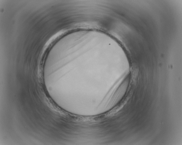 X0000083041074200702231924