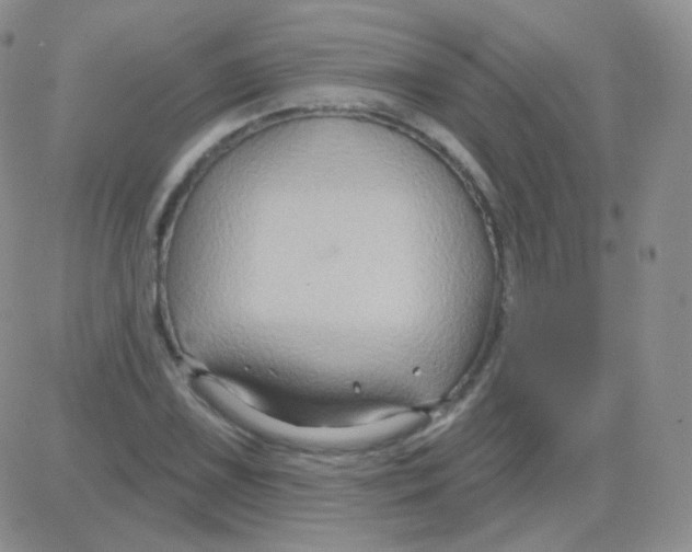 X0000083041075200702231924