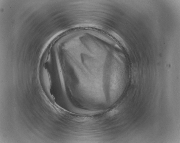 X0000083041076200702231924