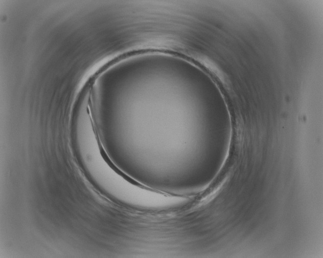 X0000083041077200702231924