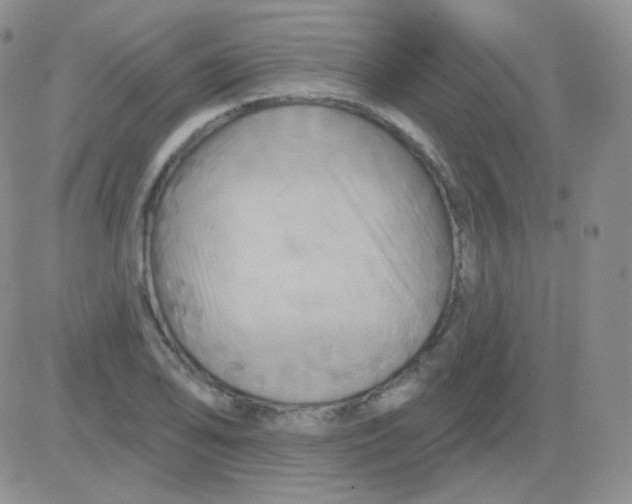 X0000083041078200702231924