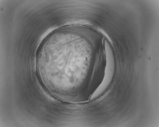 X0000083041079200702231924