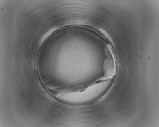 X0000083041081200702231923