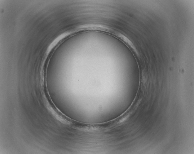 X0000083041082200702231923