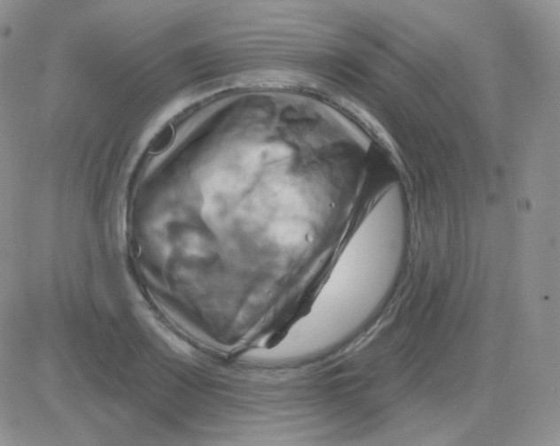 X0000083041083200702231923