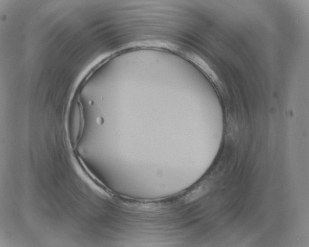 X0000083041084200702231923