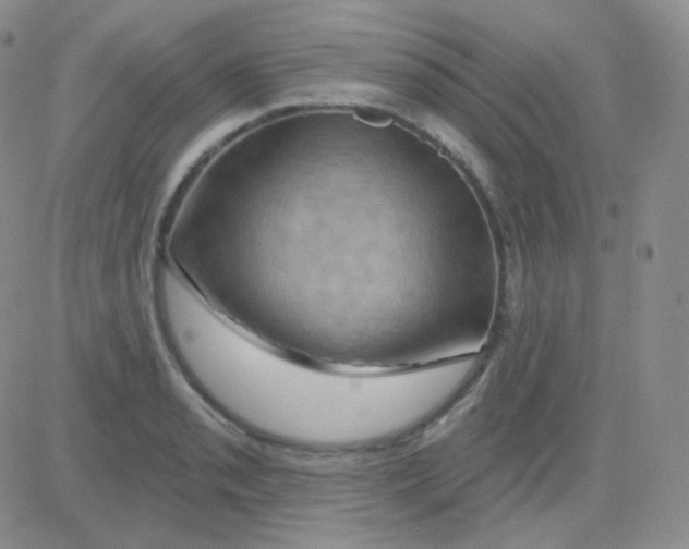 X0000083041085200702231923