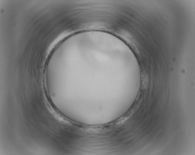 X0000083041086200702231923