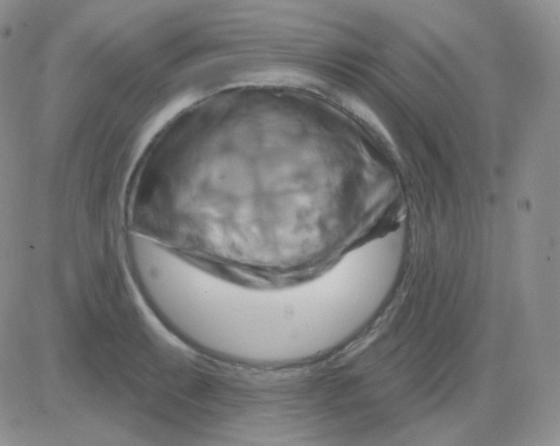 X0000083041087200702231923