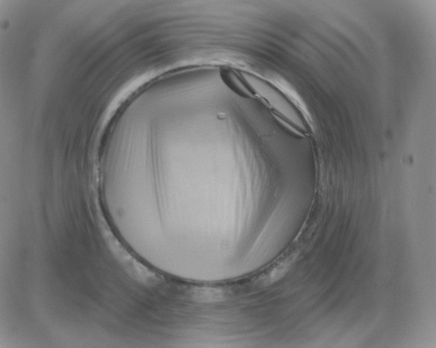 X0000083041088200702231923