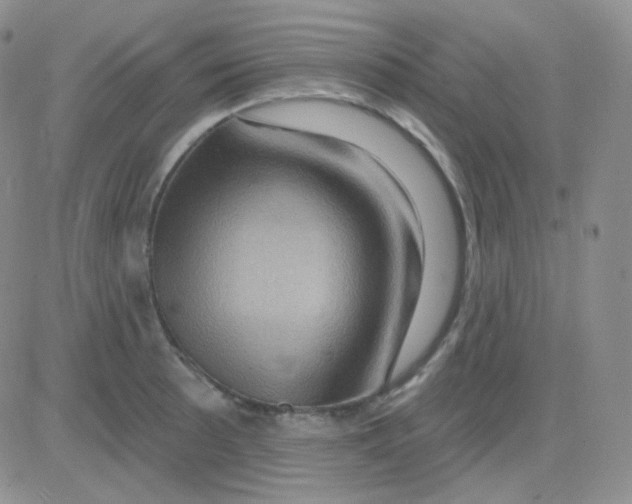 X0000083041089200702231923