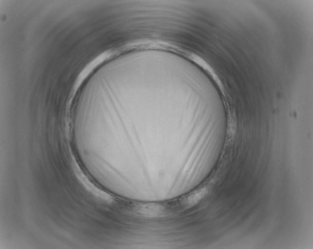 X0000083041090200702231923