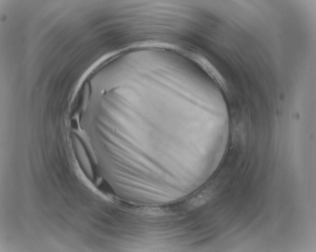 X0000083041092200702231923