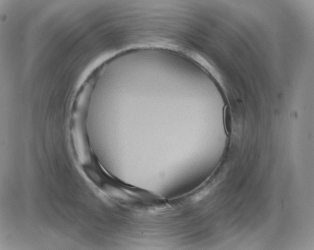 X0000083041093200702231923