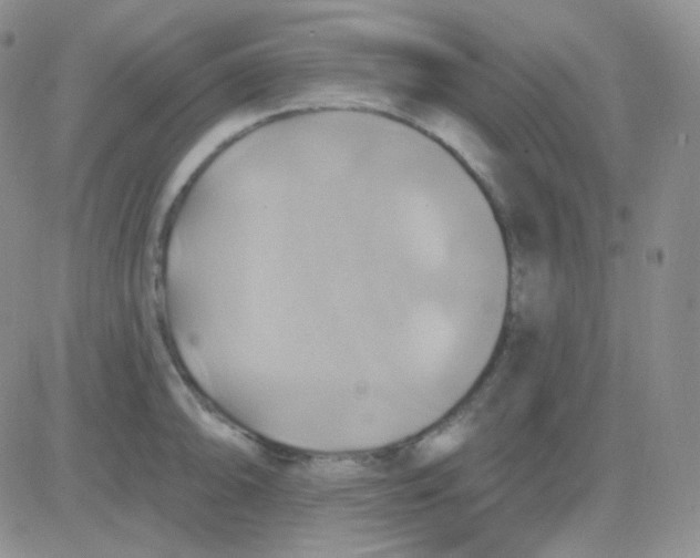 X0000083041094200702231923