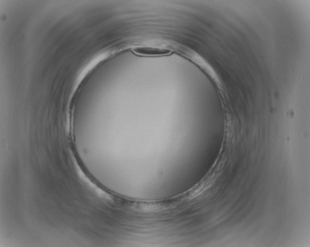 X0000083041095200702231923