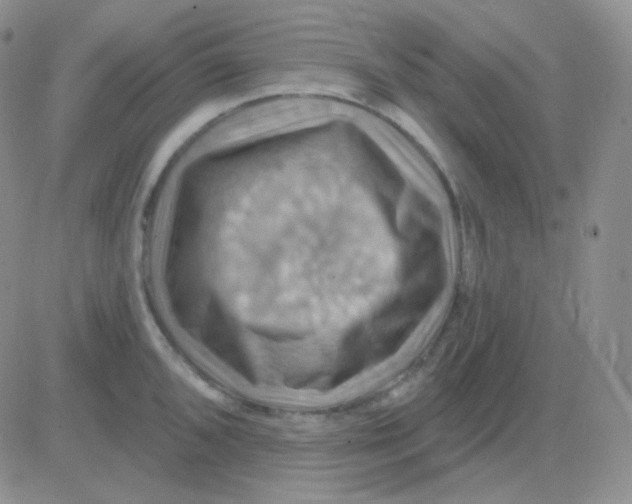 X0000083041096200702231923