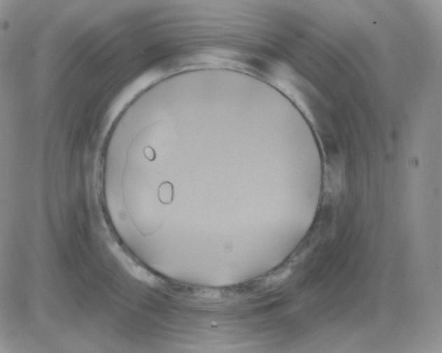 X0000083041098200702231923