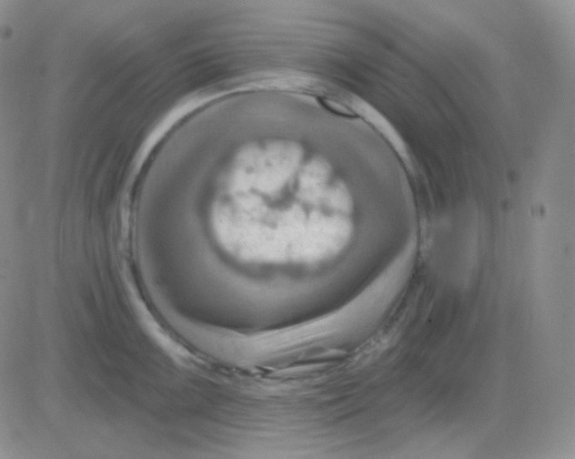 X0000083041099200702231923