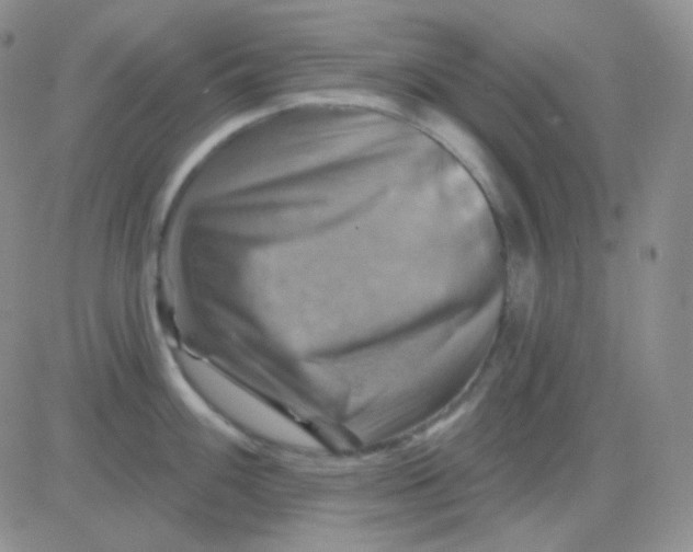 X0000083041100200702231923