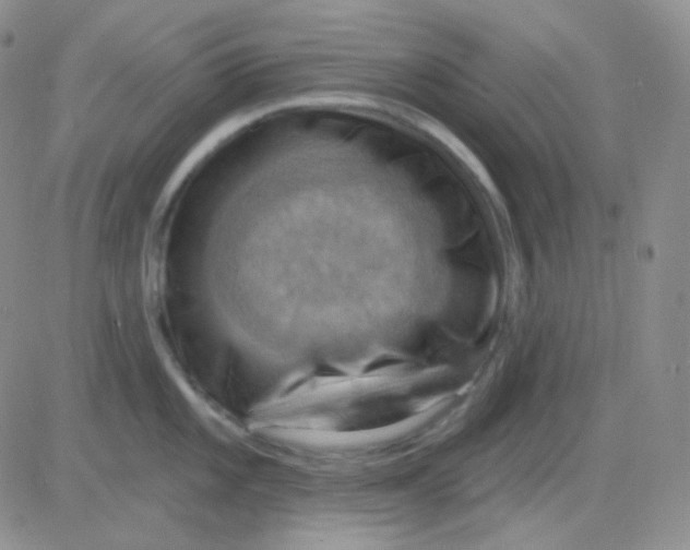 X0000083041101200702231923