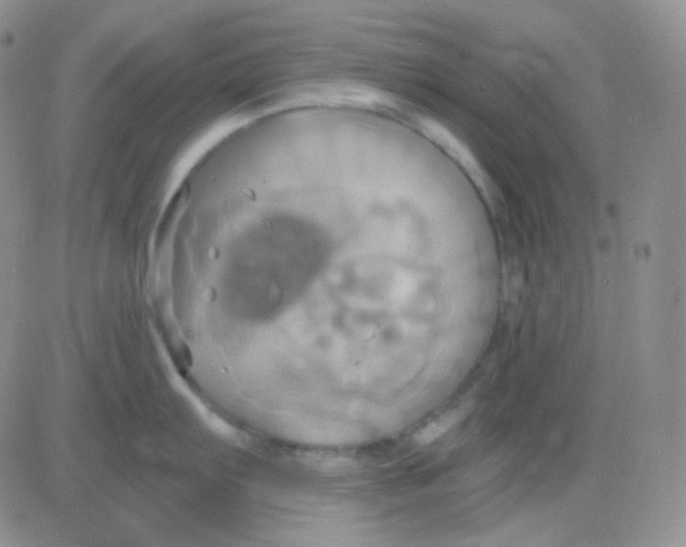 X0000083041103200702231923