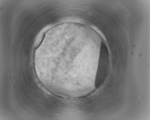 X0000083041104200702231923