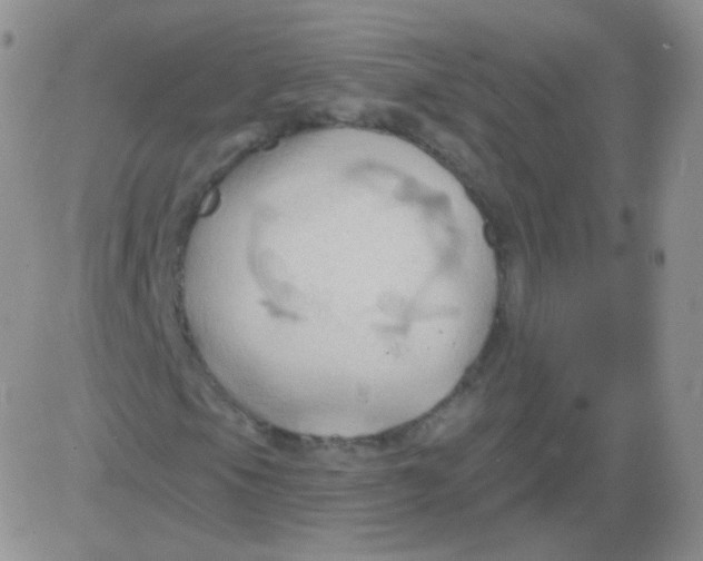 X0000083041105200702231922