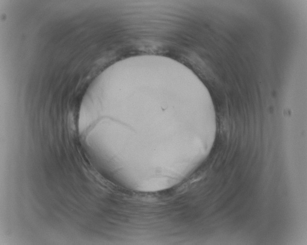 X0000083041106200702231922