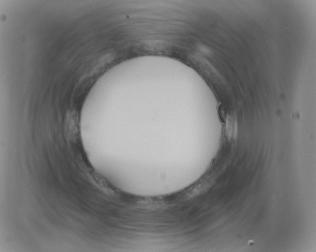 X0000083041107200702231922