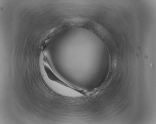 X0000083041108200702231922