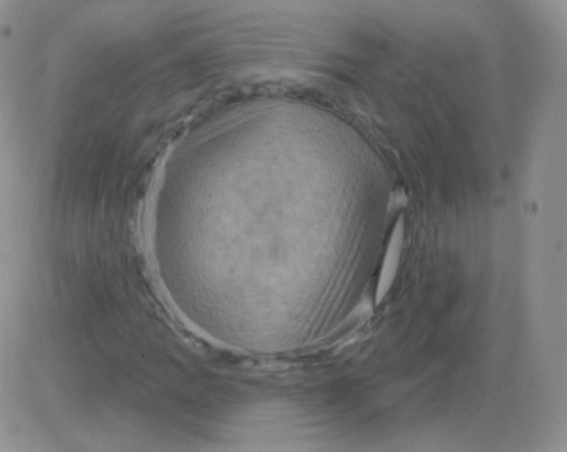 X0000083041109200702231922