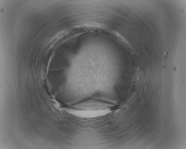 X0000083041110200702231922