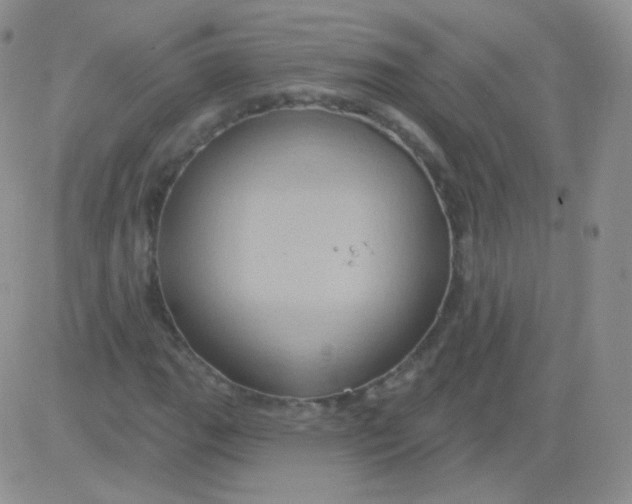 X0000083041111200702231922