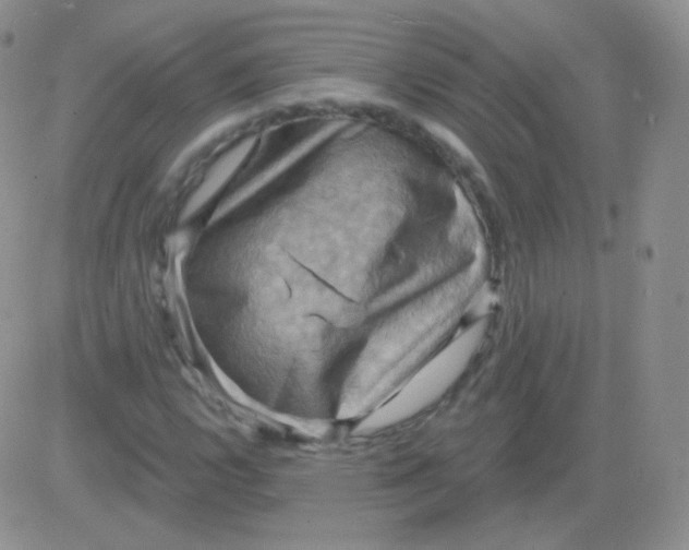 X0000083041112200702231922