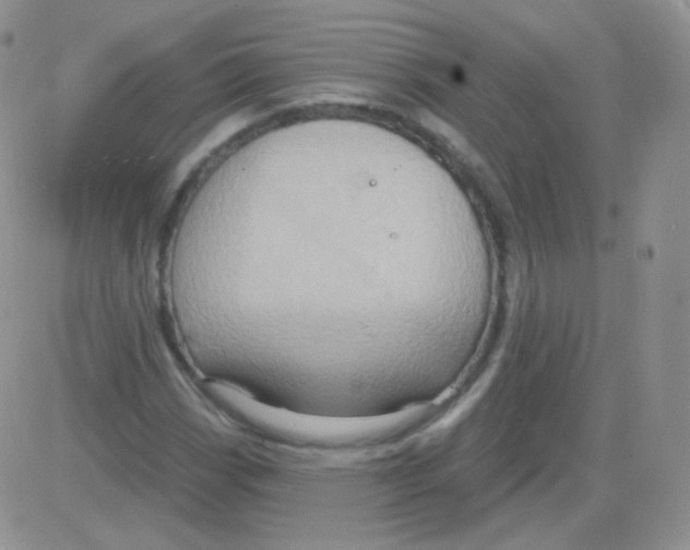 X0000083041113200702231922