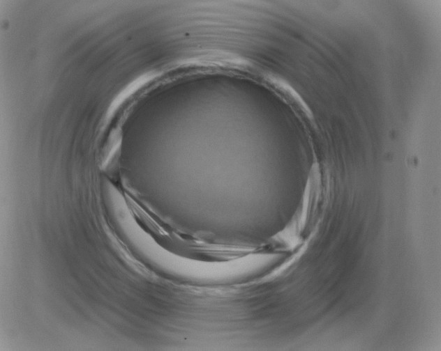 X0000083041114200702231922