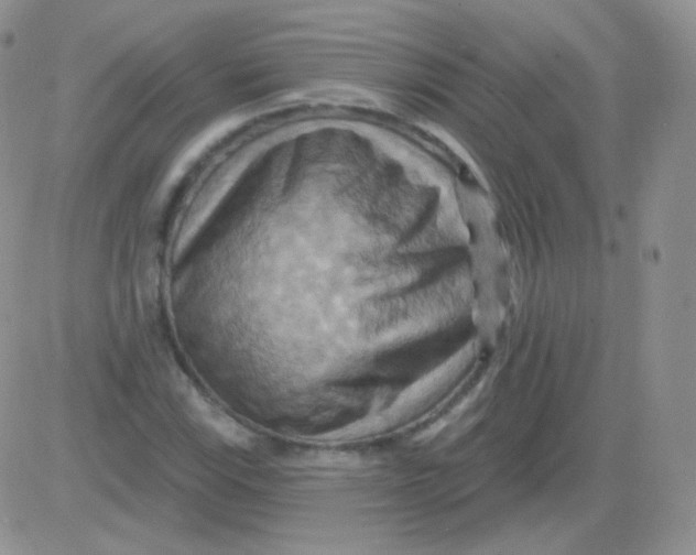 X0000083041115200702231922