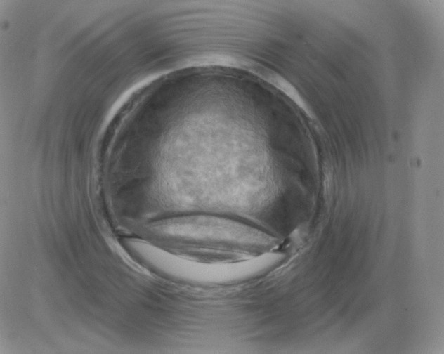 X0000083041116200702231923