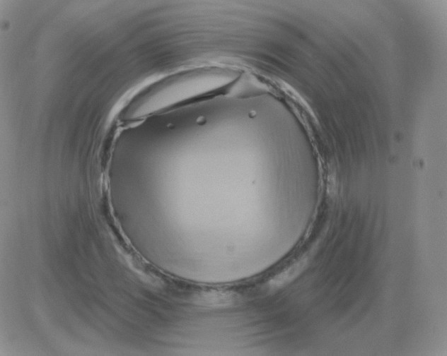 X0000083041117200702231923